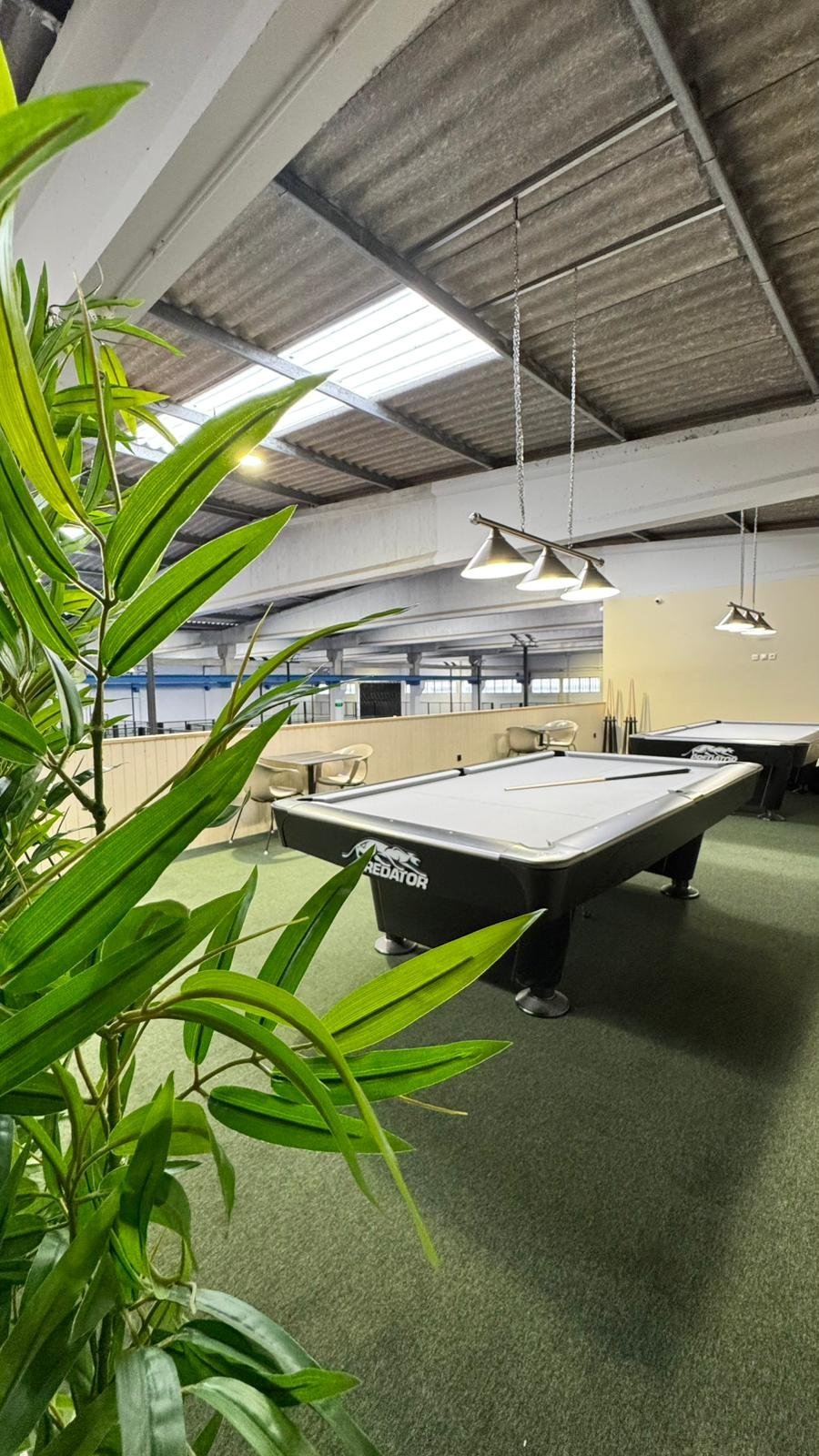 Sala de bilhar com mesa de sinuca preta em ambiente bem iluminado, com plantas verdes próximas e poltronas ao fundo.